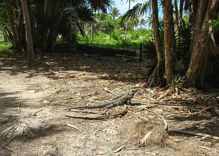 Mya 206 At Aldea Zama Tulum